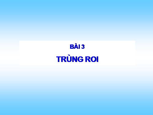 Bài 4. Trùng roi