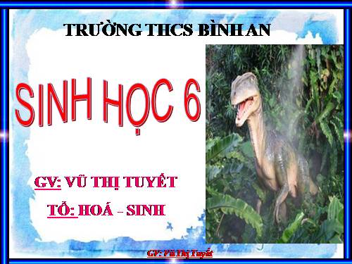 Bài 40. Đa dạng và đặc điểm chung của lớp Bò sát