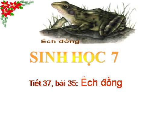 Bài 35. Ếch đồng