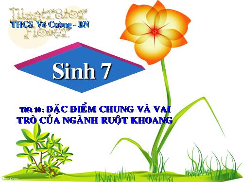 Bài 10. Đặc điểm chung và vai trò của ngành Ruột khoang