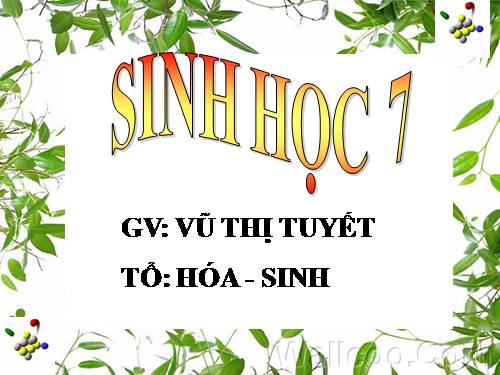 Bài 2. Phân biệt động vật với thực vật. Đặc điểm chung của động vật