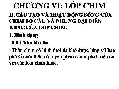 Bài 41. Chim bồ câu