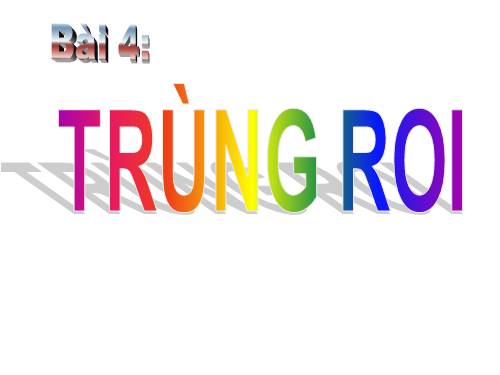 Bài 4. Trùng roi