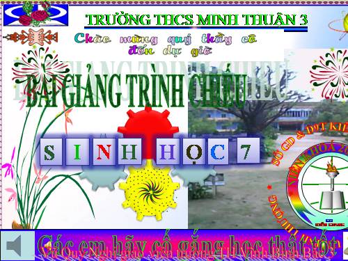 Bài 40. Đa dạng và đặc điểm chung của lớp Bò sát