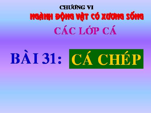 Bài 31. Cá chép
