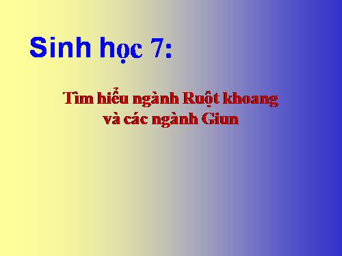 Ruột khoang và giun