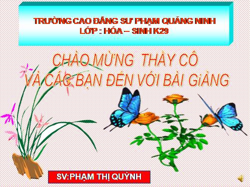 Bài 56. Cây phát sinh giới Động vật