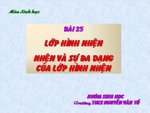 Bài 25. Nhện và sự đa dạng của lớp Hình nhện