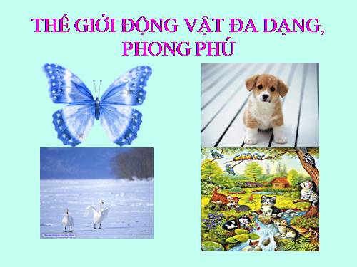 Bài 1. Thế giới động vật đa dạng, phong phú