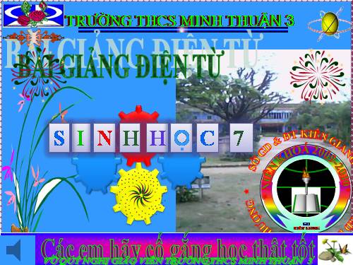 sinh học 7