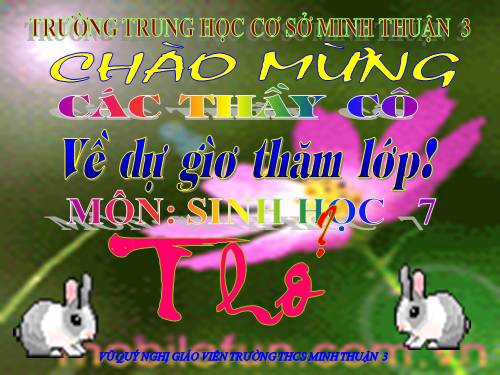 Bài 46. Thỏ