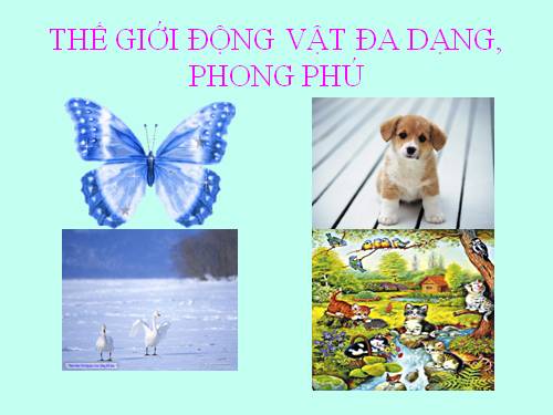 Bài 1. Thế giới động vật đa dạng, phong phú