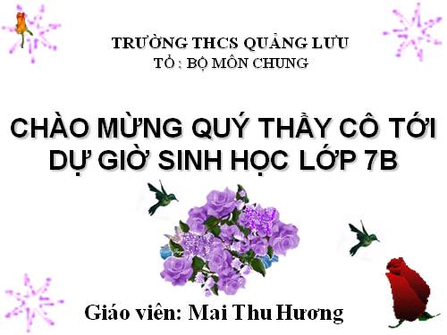 Bài 51. Đa dạng của lớp Thú: Các bộ Móng guốc và bộ Linh trưởng