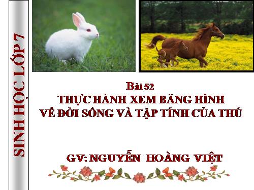 Bài 52. Thực hành: Xem băng hình về đời sống và tập tính của Thú