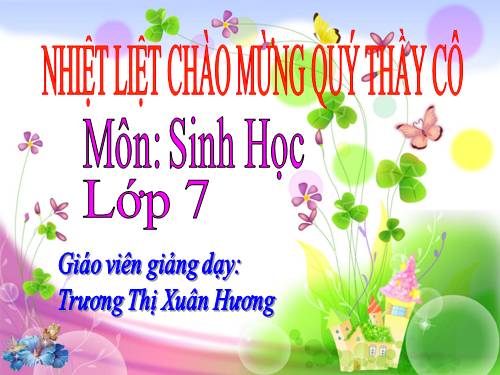 Bài 26. Châu chấu