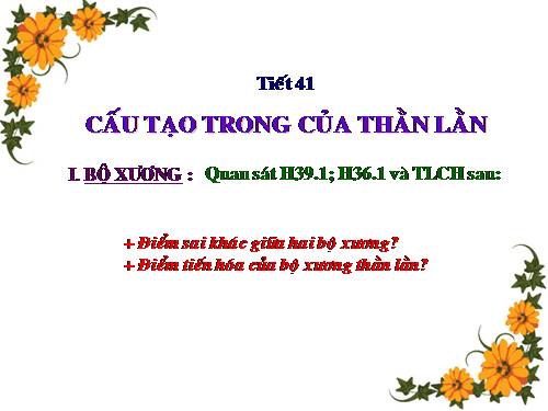 Bài 39. Cấu tạo trong của thằn lằn