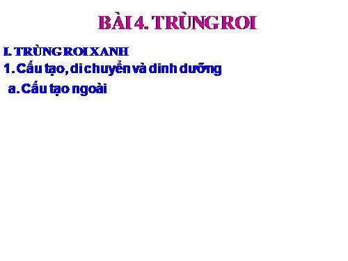 Bài 4. Trùng roi