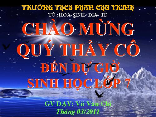 Bài 51. Đa dạng của lớp Thú: Các bộ Móng guốc và bộ Linh trưởng