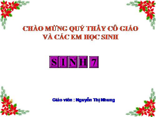 Bài 55. Tiến hoá về sinh sản