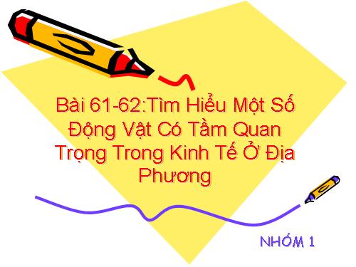 Bài 61. Tìm hiểu một số động vật có tầm quan trọng trong kinh tế ở địa phương