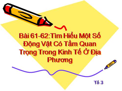 Bài 62. Tìm hiểu một số động vật có tầm quan trọng trong kinh tế ở địa phương