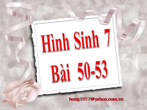 Hình sinh 7