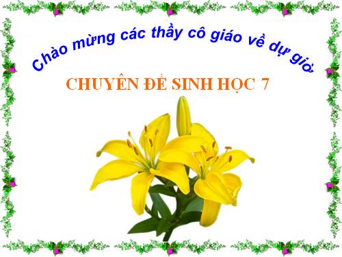 Báo cáo chuyên đề sinh hoc 7