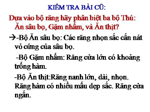 Bài 51. Đa dạng của lớp Thú: Các bộ Móng guốc và bộ Linh trưởng