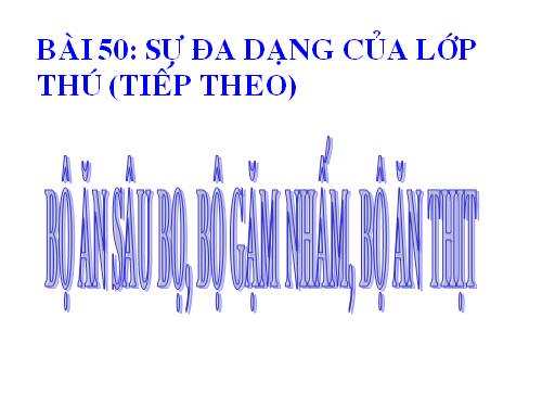 Bài 50. Đa dạng của lớp Thú: Bộ Ăn sâu bọ, bộ Gặm nhấm, bộ Ăn thịt