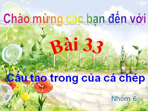 Bài 33. Cấu tạo trong của cá chép