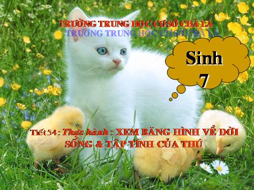 Bài 52. Thực hành: Xem băng hình về đời sống và tập tính của Thú