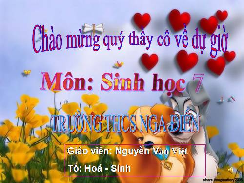 Bài 1. Thế giới động vật đa dạng, phong phú