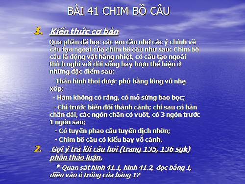 Bài 41. Chim bồ câu