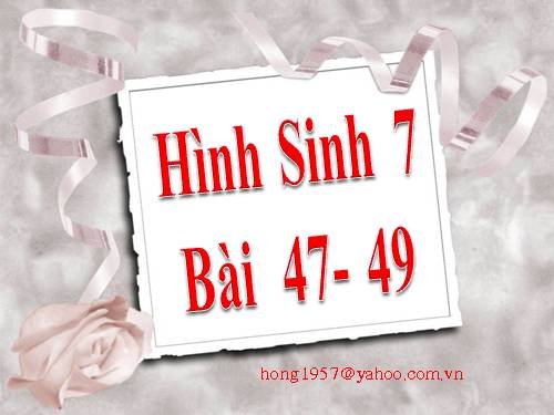 Hình sinh 7