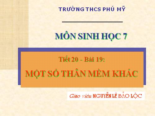 Bài 19. Một số thân mềm khác