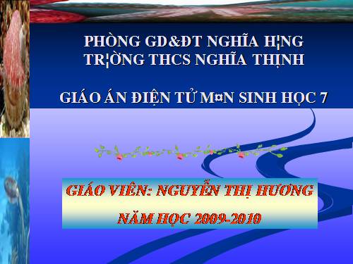 Bài 19. Một số thân mềm khác