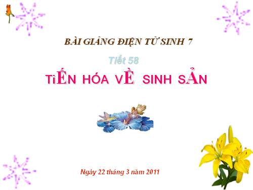 Bài 55. Tiến hoá về sinh sản