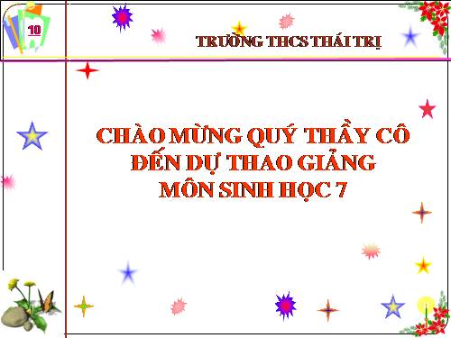 Bài 22. Tôm sông