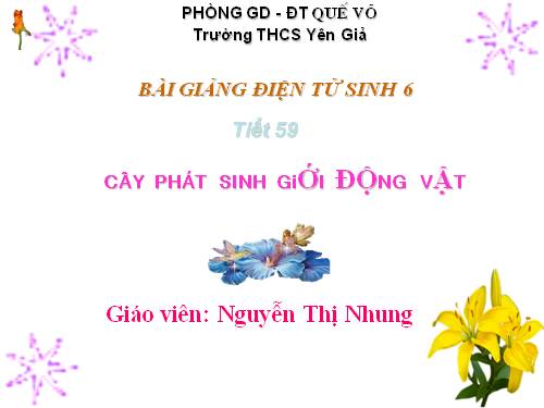 Bài 56. Cây phát sinh giới Động vật