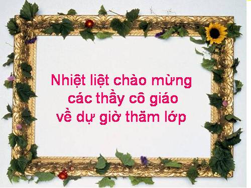 Bài 51. Đa dạng của lớp Thú: Các bộ Móng guốc và bộ Linh trưởng