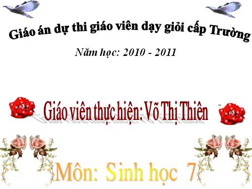 Bài 25. Nhện và sự đa dạng của lớp Hình nhện