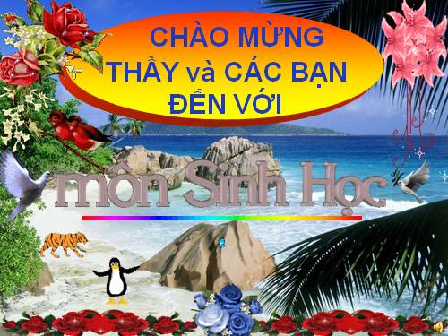 Bài 38. Thằn lằn bóng đuôi dài