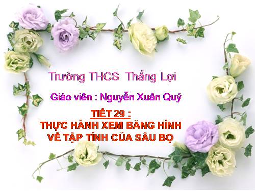 Bài 28. Thực hành: Xem băng hình về tập tính của sâu bọ