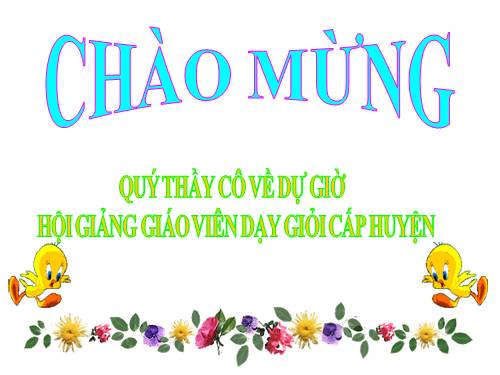 Bài 50. Đa dạng của lớp Thú: Bộ Ăn sâu bọ, bộ Gặm nhấm, bộ Ăn thịt