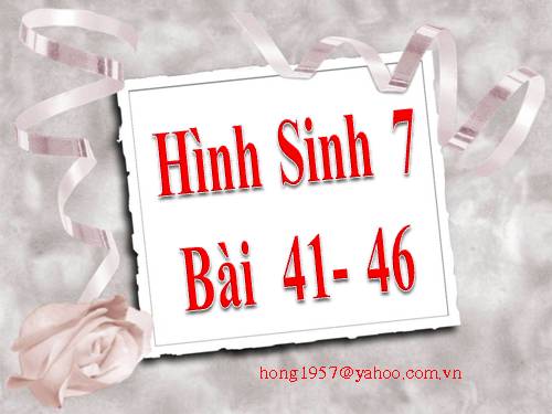 Hình SGK bài 41 - 46