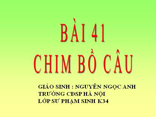 Bài 41. Chim bồ câu