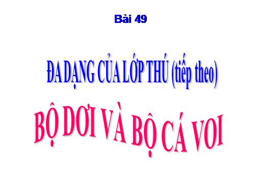 Bài 49. Đa dạng của lớp Thú: Bộ Dơi và bộ Cá voi