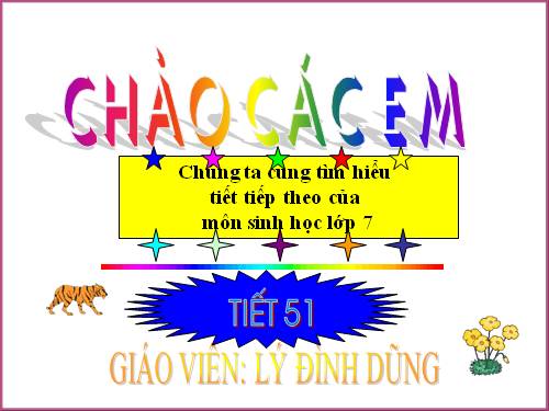 Bài 50. Đa dạng của lớp Thú: Bộ Ăn sâu bọ, bộ Gặm nhấm, bộ Ăn thịt