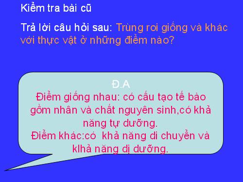 Bài 5. Trùng biến hình và trùng giày