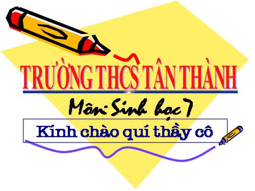 Bài tập sinh 7 (HKII)